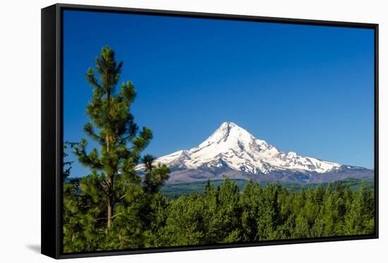 Mt. Hood and Pine Trees-jkraft5-Framed Stretched Canvas