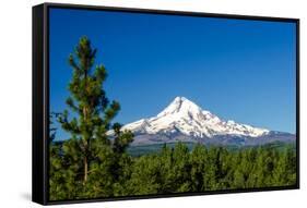 Mt. Hood and Pine Trees-jkraft5-Framed Stretched Canvas