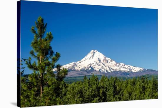 Mt. Hood and Pine Trees-jkraft5-Stretched Canvas