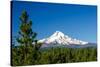 Mt. Hood and Pine Trees-jkraft5-Stretched Canvas