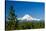 Mt. Hood and Pine Trees-jkraft5-Stretched Canvas