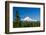 Mt. Hood and Pine Trees-jkraft5-Framed Photographic Print