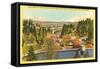 Mt. Hood, City Park, Portland, Oregon-null-Framed Stretched Canvas