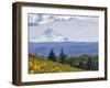 Mt. Hood from Mccall Point, Tom Mccall Nature Preserve, Columbia Gorge, Oregon, Usa-Rick A. Brown-Framed Photographic Print