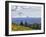 Mt. Hood from Mccall Point, Tom Mccall Nature Preserve, Columbia Gorge, Oregon, Usa-Rick A. Brown-Framed Photographic Print