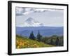 Mt. Hood from Mccall Point, Tom Mccall Nature Preserve, Columbia Gorge, Oregon, Usa-Rick A. Brown-Framed Photographic Print