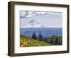 Mt. Hood from Mccall Point, Tom Mccall Nature Preserve, Columbia Gorge, Oregon, Usa-Rick A. Brown-Framed Photographic Print