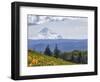 Mt. Hood from Mccall Point, Tom Mccall Nature Preserve, Columbia Gorge, Oregon, Usa-Rick A. Brown-Framed Photographic Print