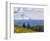 Mt. Hood from Mccall Point, Tom Mccall Nature Preserve, Columbia Gorge, Oregon, Usa-Rick A. Brown-Framed Photographic Print