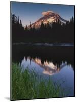 Mt. Hood from Mirror Lake, Mt. Hood National Forest, Oregon, USA-Charles Gurche-Mounted Photographic Print