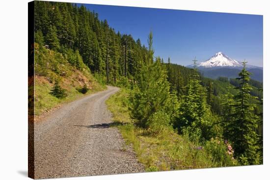 Mt. Hood from Mt. Hood National Forest. Oregon, USA-Craig Tuttle-Stretched Canvas