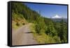 Mt. Hood from Mt. Hood National Forest. Oregon, USA-Craig Tuttle-Framed Stretched Canvas