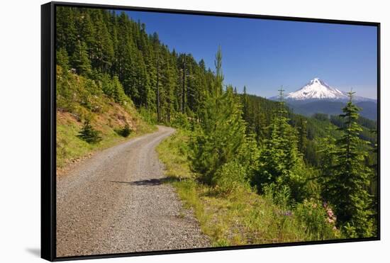 Mt. Hood from Mt. Hood National Forest. Oregon, USA-Craig Tuttle-Framed Stretched Canvas