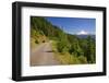 Mt. Hood from Mt. Hood National Forest. Oregon, USA-Craig Tuttle-Framed Photographic Print