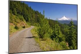 Mt. Hood from Mt. Hood National Forest. Oregon, USA-Craig Tuttle-Mounted Photographic Print