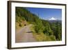 Mt. Hood from Mt. Hood National Forest. Oregon, USA-Craig Tuttle-Framed Photographic Print