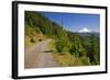 Mt. Hood from Mt. Hood National Forest. Oregon, USA-Craig Tuttle-Framed Photographic Print