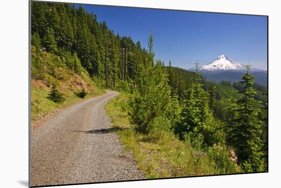 Mt. Hood from Mt. Hood National Forest. Oregon, USA-Craig Tuttle-Mounted Photographic Print