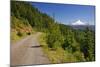 Mt. Hood from Mt. Hood National Forest. Oregon, USA-Craig Tuttle-Mounted Photographic Print