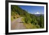 Mt. Hood from Mt. Hood National Forest. Oregon, USA-Craig Tuttle-Framed Photographic Print