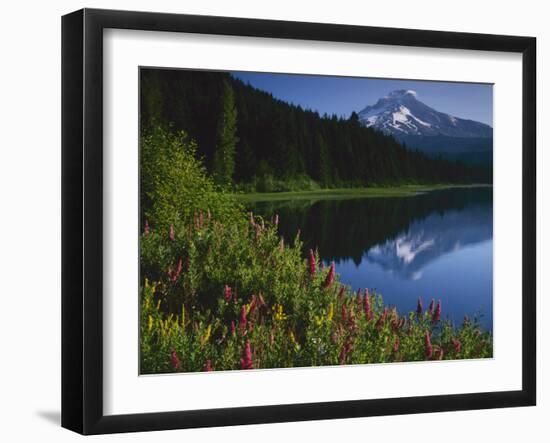 Mt. Hood from Trilliam Lake, Mt. Hood National Forest, Oregon, USA-Charles Gurche-Framed Premium Photographic Print