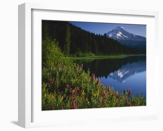 Mt. Hood from Trilliam Lake, Mt. Hood National Forest, Oregon, USA-Charles Gurche-Framed Premium Photographic Print