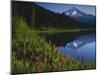 Mt. Hood from Trilliam Lake, Mt. Hood National Forest, Oregon, USA-Charles Gurche-Mounted Premium Photographic Print