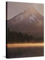 Mt. Hood from Trilliam Lake, Mt. Hood National Forest, Oregon, USA-Charles Gurche-Stretched Canvas