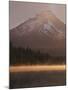 Mt. Hood from Trilliam Lake, Mt. Hood National Forest, Oregon, USA-Charles Gurche-Mounted Premium Photographic Print