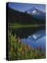 Mt. Hood from Trilliam Lake, Mt. Hood National Forest, Oregon, USA-Charles Gurche-Stretched Canvas
