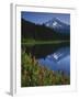 Mt. Hood from Trilliam Lake, Mt. Hood National Forest, Oregon, USA-Charles Gurche-Framed Premium Photographic Print