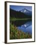 Mt. Hood from Trilliam Lake, Mt. Hood National Forest, Oregon, USA-Charles Gurche-Framed Premium Photographic Print