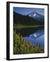 Mt. Hood from Trilliam Lake, Mt. Hood National Forest, Oregon, USA-Charles Gurche-Framed Premium Photographic Print