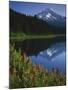 Mt. Hood from Trilliam Lake, Mt. Hood National Forest, Oregon, USA-Charles Gurche-Mounted Premium Photographic Print