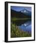 Mt. Hood from Trilliam Lake, Mt. Hood National Forest, Oregon, USA-Charles Gurche-Framed Photographic Print