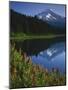 Mt. Hood from Trilliam Lake, Mt. Hood National Forest, Oregon, USA-Charles Gurche-Mounted Photographic Print