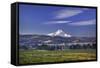 Mt. Hood, Hood River Valley, Columbia River Gorge National Scenic Area, Oregon-Craig Tuttle-Framed Stretched Canvas