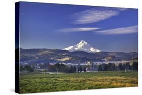 Mt. Hood, Hood River Valley, Columbia River Gorge National Scenic Area, Oregon-Craig Tuttle-Stretched Canvas