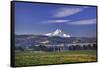 Mt. Hood, Hood River Valley, Columbia River Gorge National Scenic Area, Oregon-Craig Tuttle-Framed Stretched Canvas