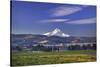 Mt. Hood, Hood River Valley, Columbia River Gorge National Scenic Area, Oregon-Craig Tuttle-Stretched Canvas