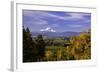 Mt. Hood, Hood River Valley, Columbia River Gorge National Scenic Area, Oregon-Craig Tuttle-Framed Photographic Print