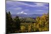 Mt. Hood, Hood River Valley, Columbia River Gorge National Scenic Area, Oregon-Craig Tuttle-Mounted Photographic Print