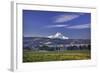 Mt. Hood, Hood River Valley, Columbia River Gorge National Scenic Area, Oregon-Craig Tuttle-Framed Photographic Print