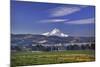 Mt. Hood, Hood River Valley, Columbia River Gorge National Scenic Area, Oregon-Craig Tuttle-Mounted Photographic Print