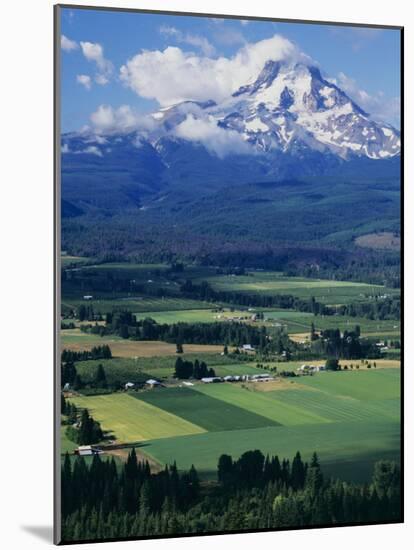 Mt. Hood, Hood River Valley, Oregon, USA-Charles Gurche-Mounted Photographic Print