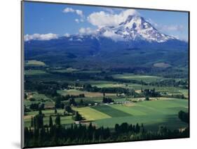 Mt. Hood, Hood River Valley, Oregon, USA-Charles Gurche-Mounted Photographic Print