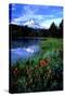 Mt. Hood III-Ike Leahy-Stretched Canvas