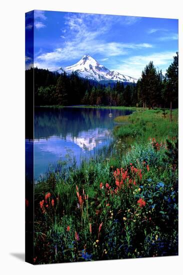 Mt. Hood III-Ike Leahy-Stretched Canvas