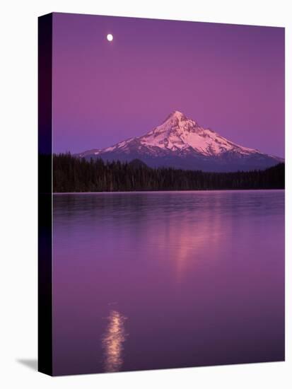 Mt Hood in Moonlight, Lost Lake, Oregon Cascades, USA-Janis Miglavs-Stretched Canvas