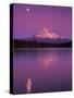 Mt Hood in Moonlight, Lost Lake, Oregon Cascades, USA-Janis Miglavs-Stretched Canvas